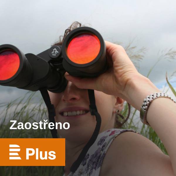 Zaostřeno